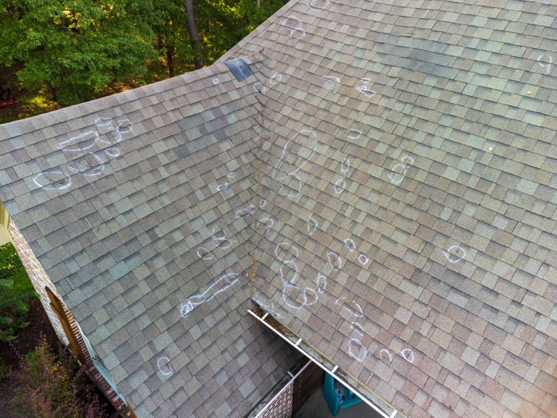 Asphalt Roof Inspection in College Park, MD