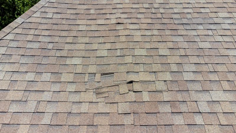 Asphalt Roof Inspection in Sparrows Point, MD