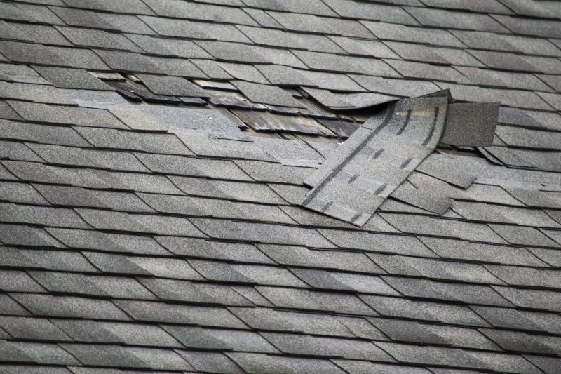 Asphalt Roof Leak Repair in Kensington, MD