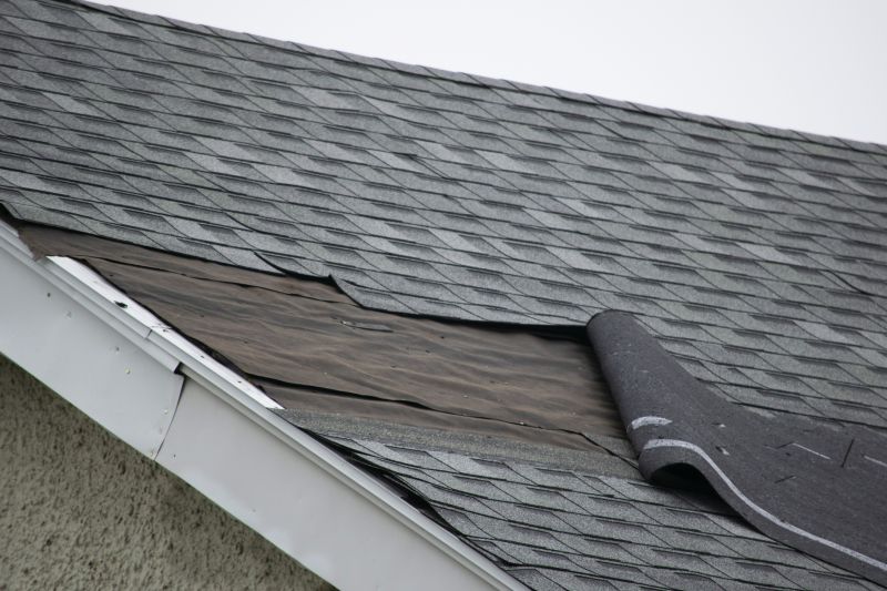 Asphalt Shingles Repair in Arnold, MD