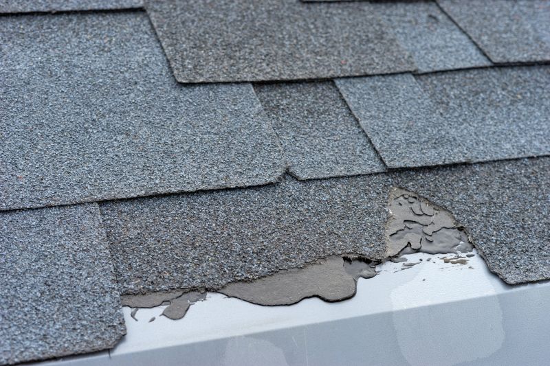 Damaged Roof Repair in Arnold, MD