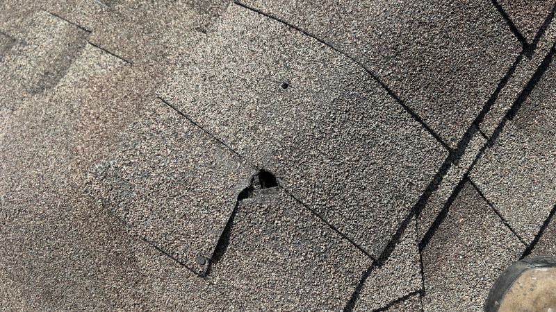 Damaged Roof Repair in Bowie, MD