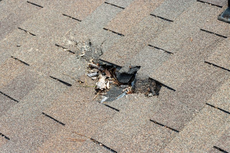 Shingle Roof Replacement in Gambrills, MD