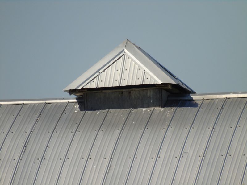 Tin Roof Installation in Rosedale, MD