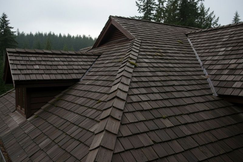 Wood Shake Roof Replacement in Queen Annes County, MD